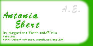 antonia ebert business card